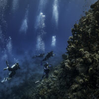 A group of divers explore a coral reef in the Red Sea in Egypt