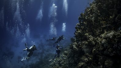A group of divers explore a coral reef in the Red Sea in Egypt