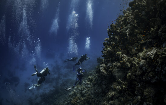 A group of divers explore a coral reef in the Red Sea in Egypt