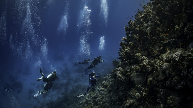 A group of divers explore a coral reef in the Red Sea in Egypt