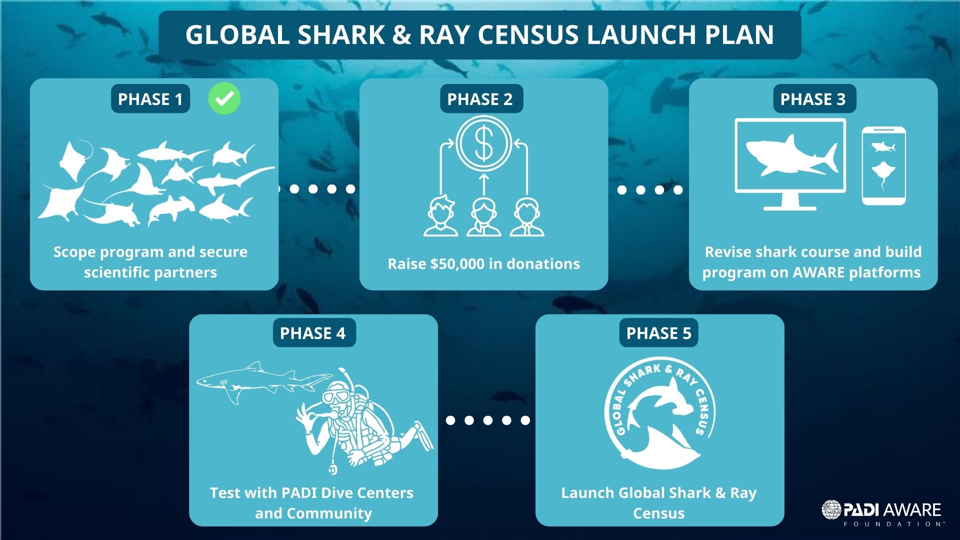 Hoja de ruta del lanzamiento del censo de tiburones y rayas