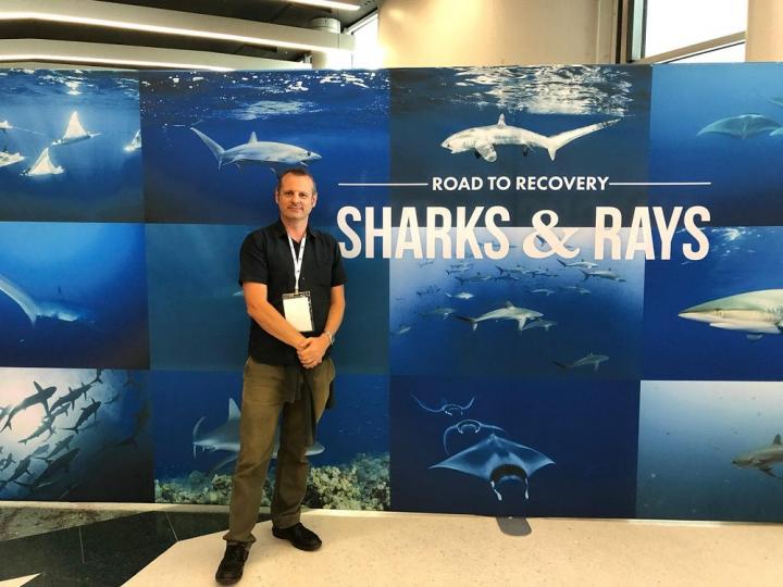 A man (Ian Campbell) stands in front of a bunch of photos of sharks and rays. He is smiling for the camera with his hands clasped in front of him.