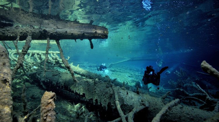 Divers in a lake in Austria