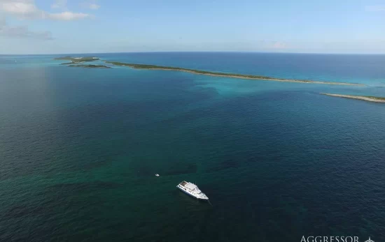 bahamas aggressor liveaboard best in boat in open ocean