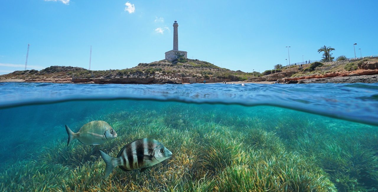 Diving in Cabo de Palos, Spain – A Growing Scuba Destination