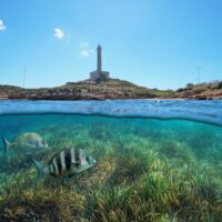 Coastline with a lighthouse at Cabo de Palos in Spain and grassy seabed with fish underwater, split view half above and below water surface, Mediterranean sea, Cartagena, Murcia