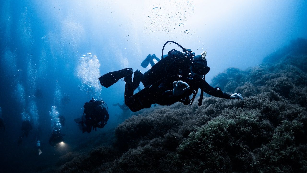 Underwater photography in the Islas Hormigas Marine Reserve in Cabo de Palos, Murcia (Spain)