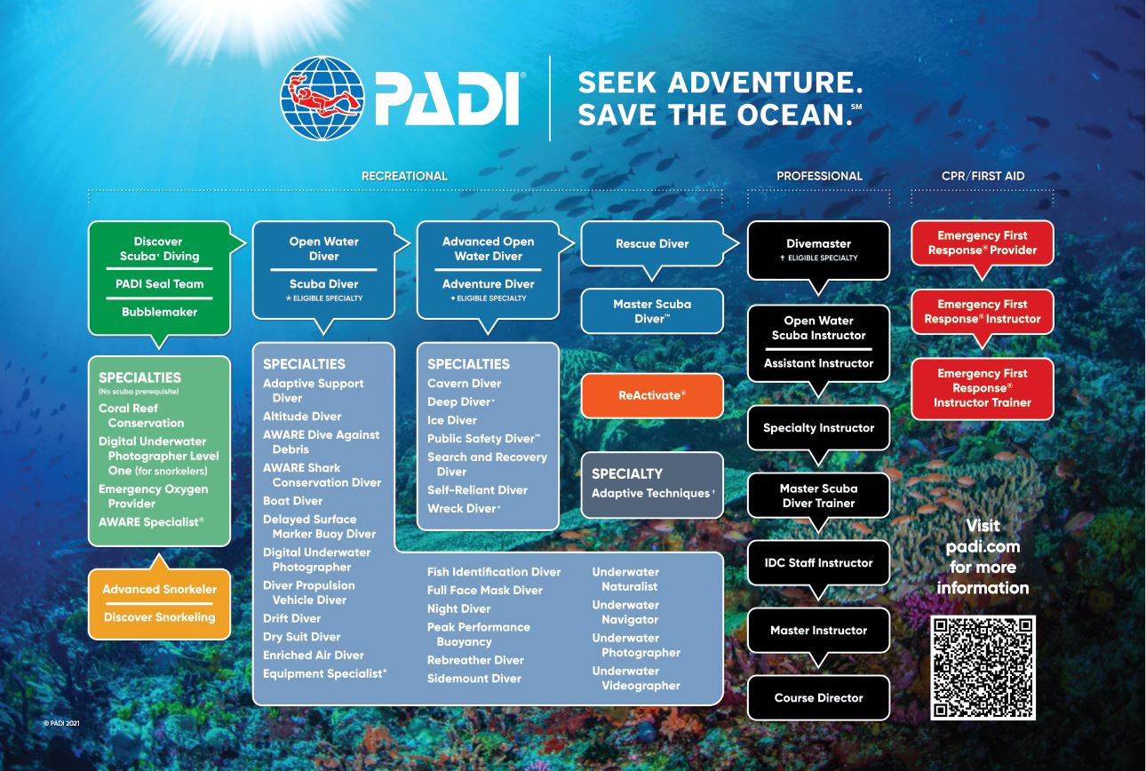 PADI certification levels chart for recreational and professional diving