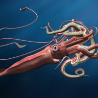 a computer generated graphic showing a giant squid in deep blue water