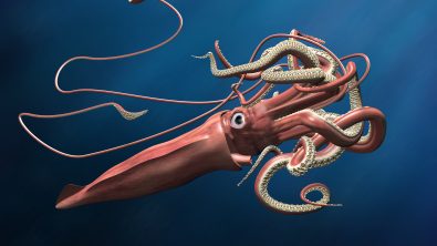 a computer generated graphic showing a giant squid in deep blue water