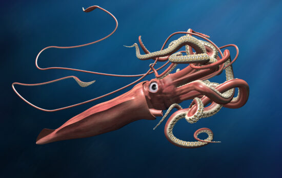 a computer generated graphic showing a giant squid in deep blue water