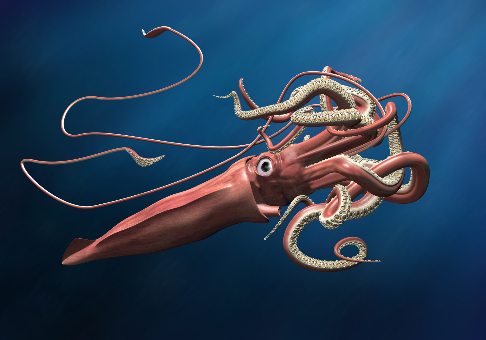 a computer generated graphic showing a giant squid in deep blue water