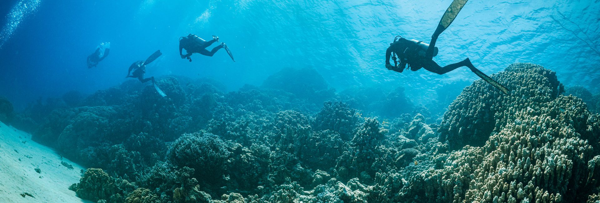 What It’s Like to Dive With a PADI Eco Center