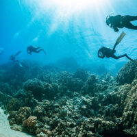 diving with a PADI Eco Center