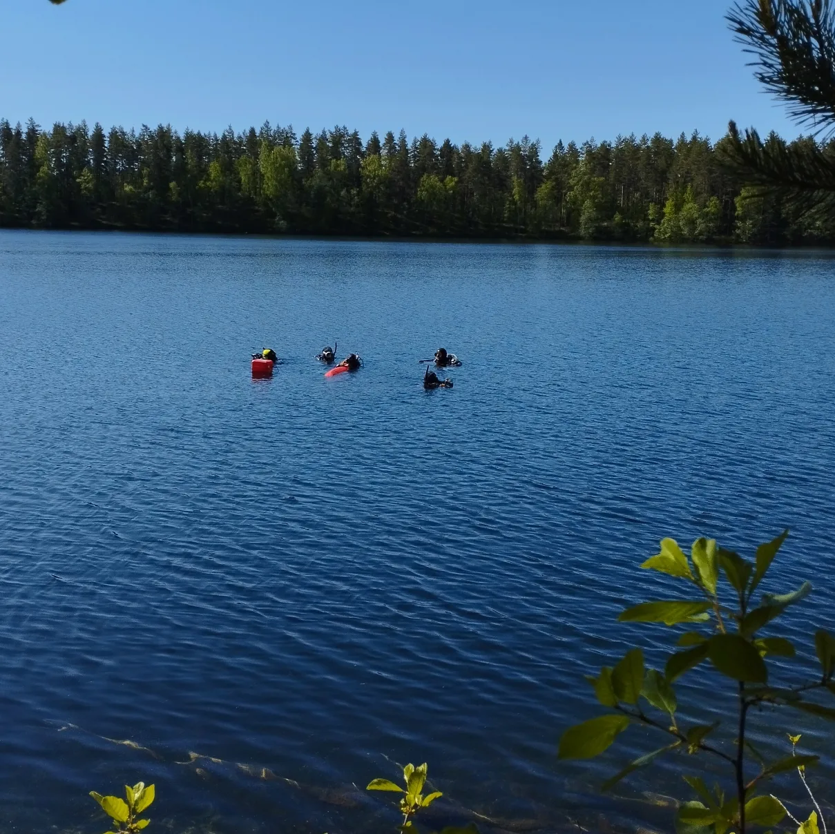Four divers dive into a Finnish lake during the PADI Instructor Examination