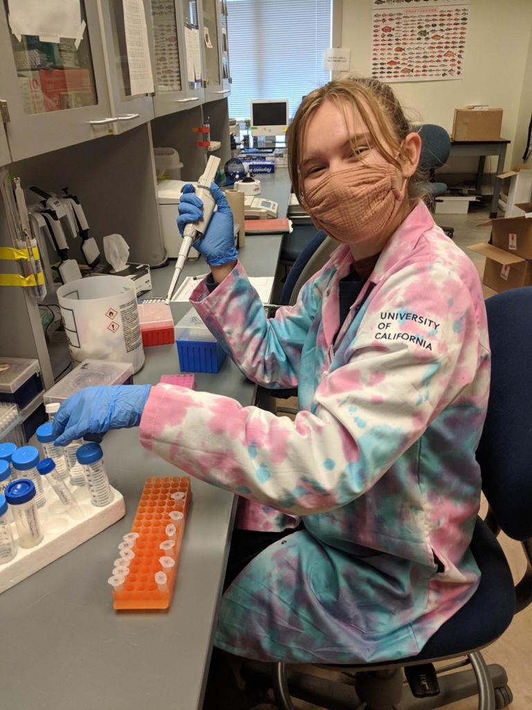 A researcher in a tye died lab coat prepares to extract DNA from certain samples of "stingray" meat.