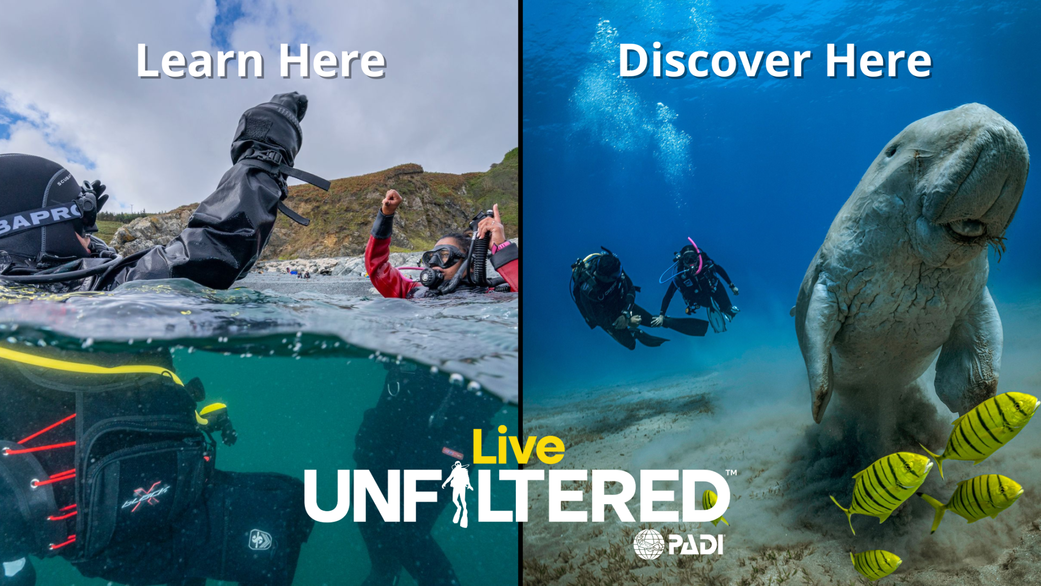 learn to dive at home to live unfiltered poster