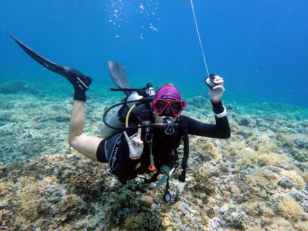 A diver floats above rich coral reefs in Indonesia.