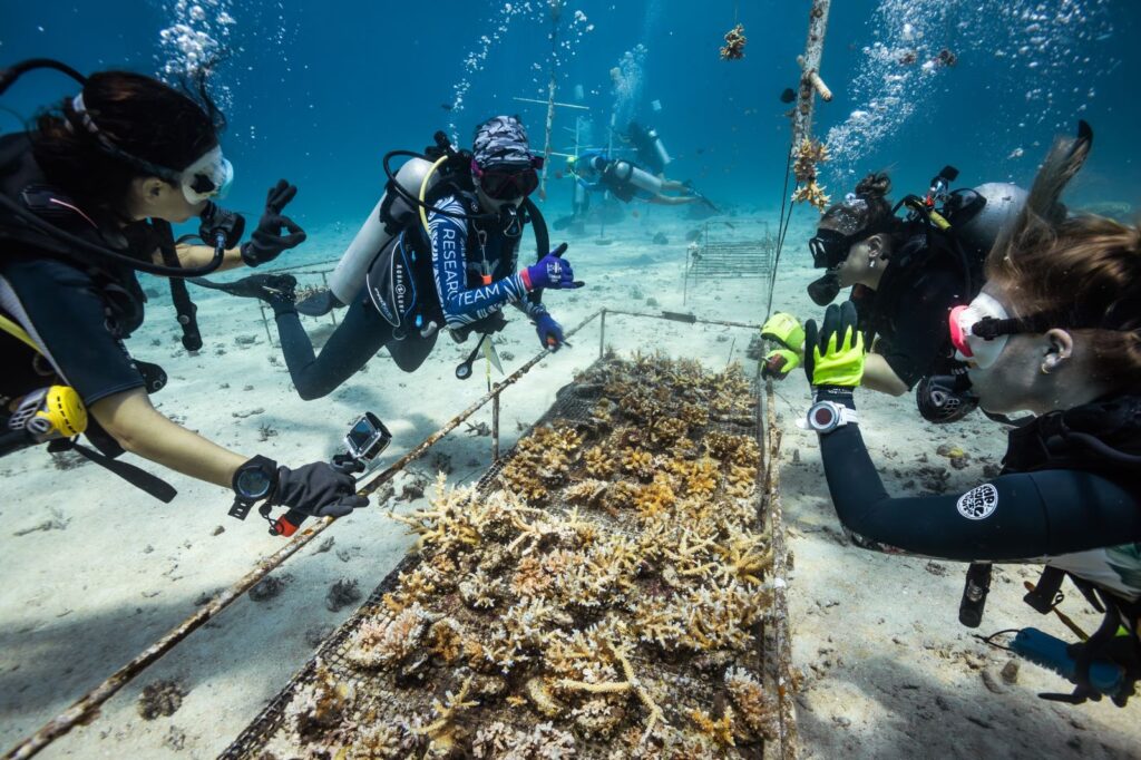 A woman diver leads other women in coral restoration techniques.