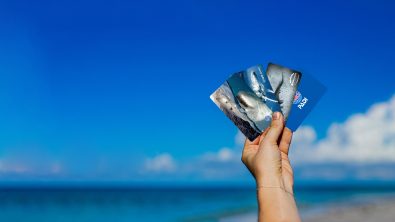 A hand holds up four PADI certification cards