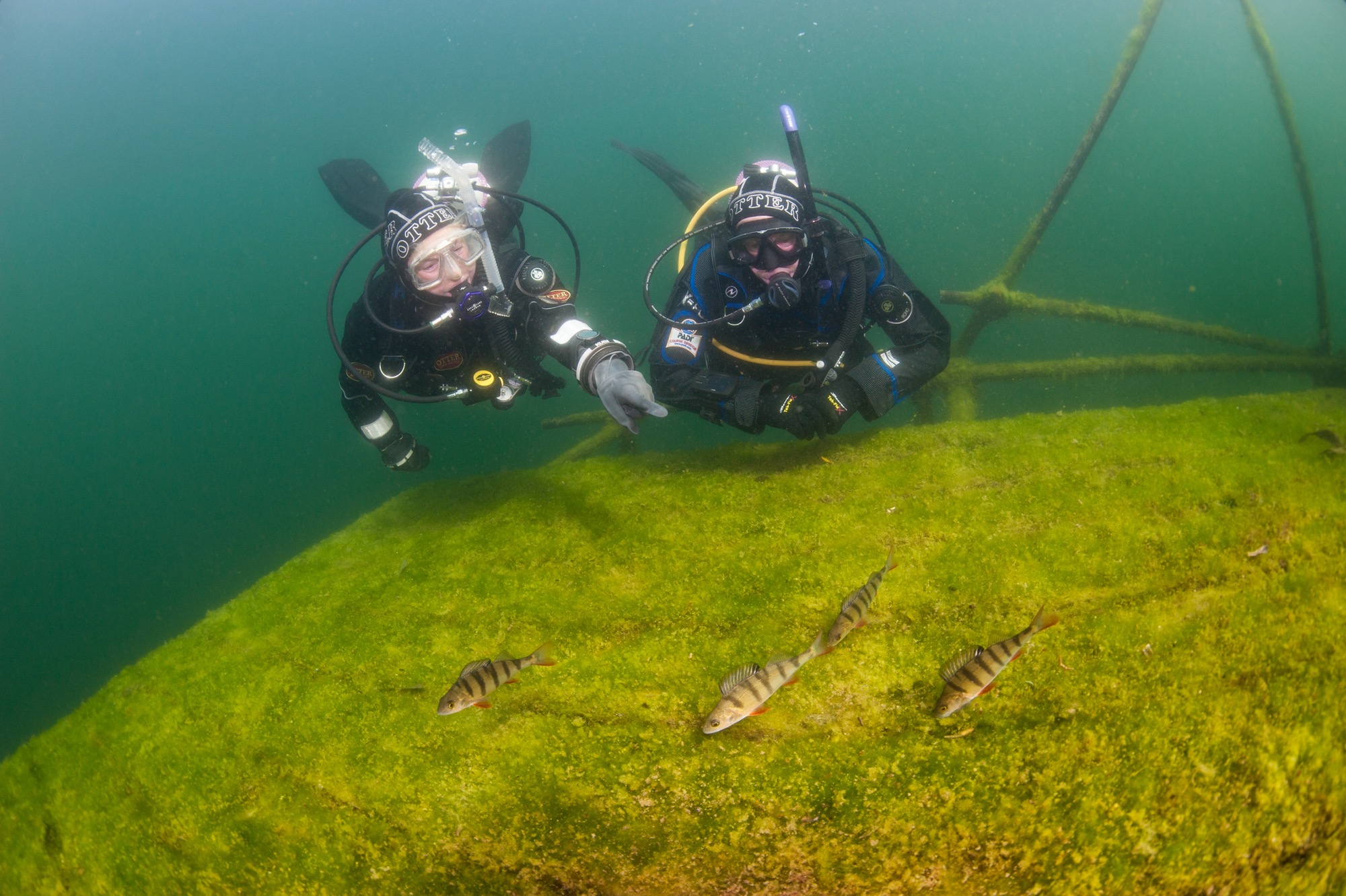 Two divers practising drysuit and wreck diving, two scuba skills you can pick up if you learn to dive in Ireland or the UK