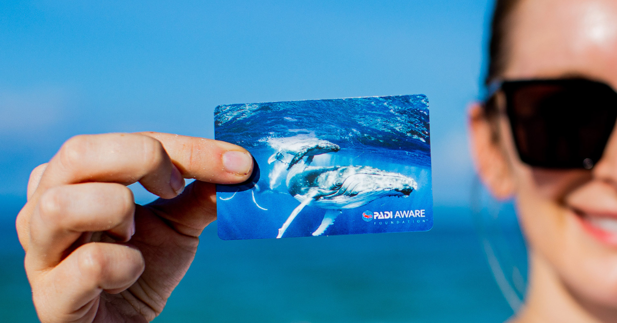 A woman holds up a PADI certification card showing two humpback whales