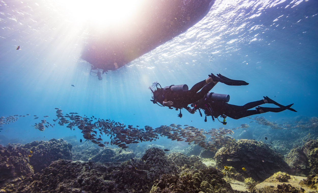 Dive professionals making their way back to the boat.