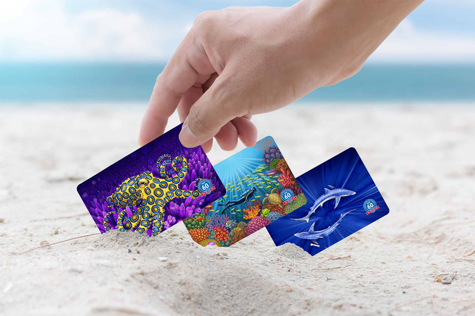 Q4 '26 PADI certification cards