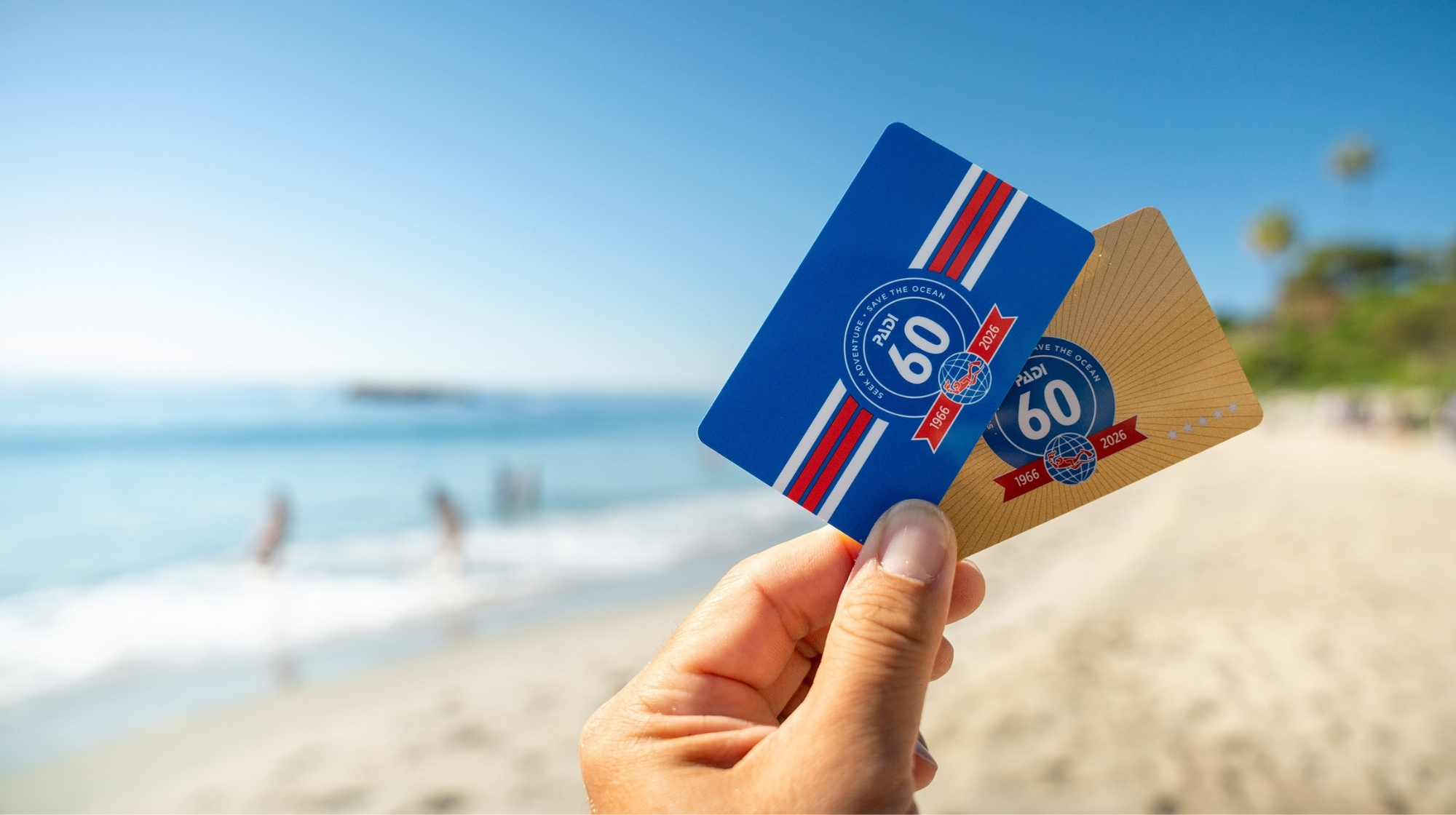 Person holding PADI's 60th Anniversary certification cards. 