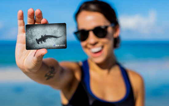 A female diver holding up a certification with a hammerhead on it