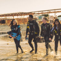 four divers enter the water together in the red sea, egypt