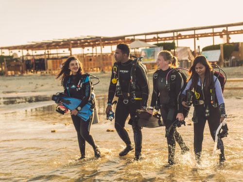 four divers enter the water together in the red sea, egypt