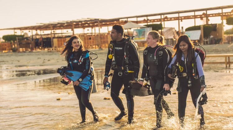four divers enter the water together in the red sea, egypt