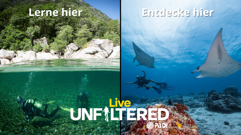 Lerne Zuhause Tauchen und entdecke die Unterwasserwelt wo immer du auch bist. #liveunfiltered
https://www.padi.com/de/machdeinPADI 