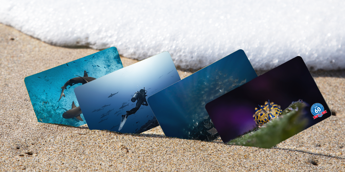 Four certification cards placed on the sand just before the ocean foam showing the Q3 2026 designs
