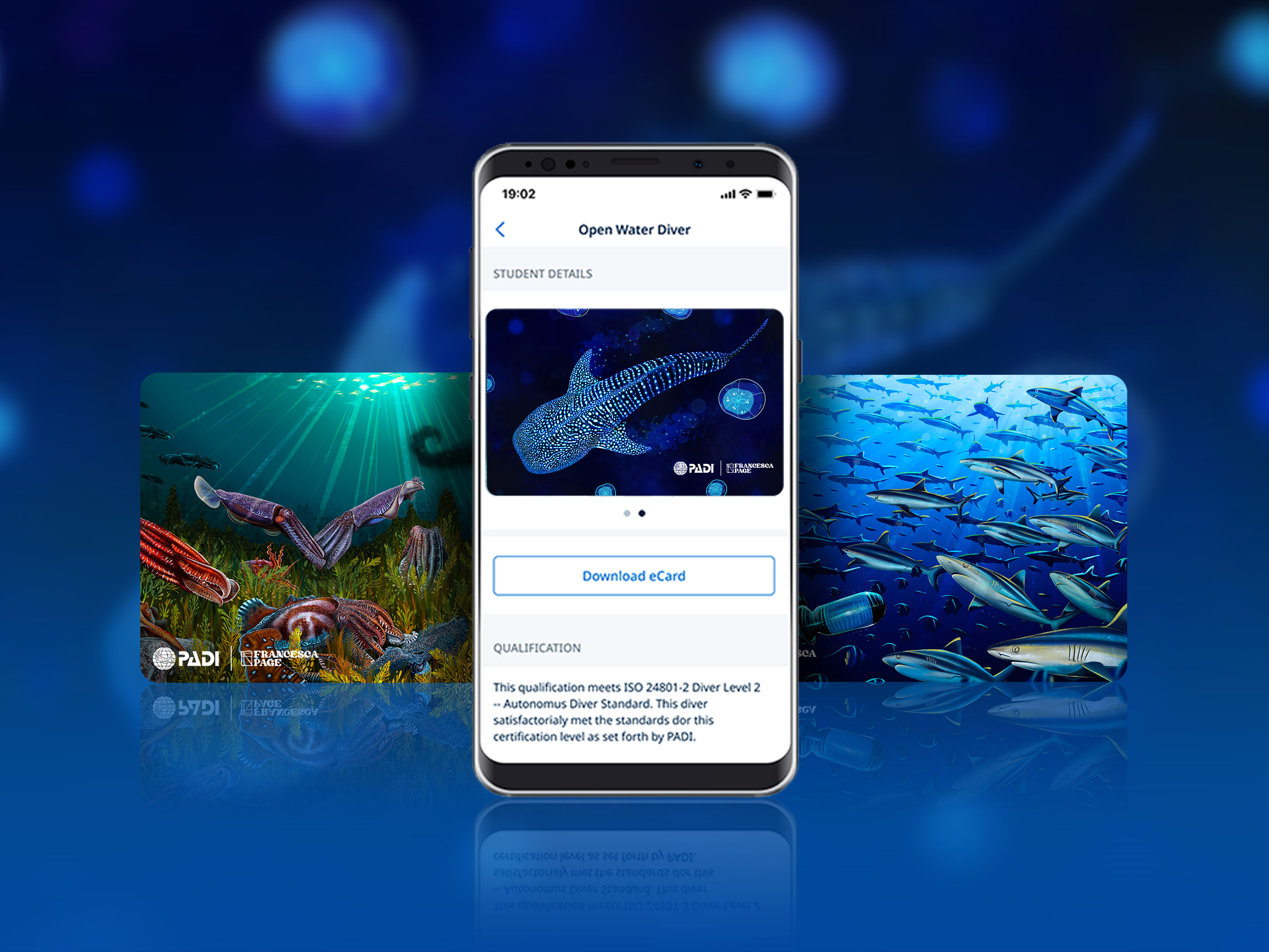 Mobile phone with a whale shark ecard on it, next to two certification cards with paintings of a school of sharks and a reef design with squid