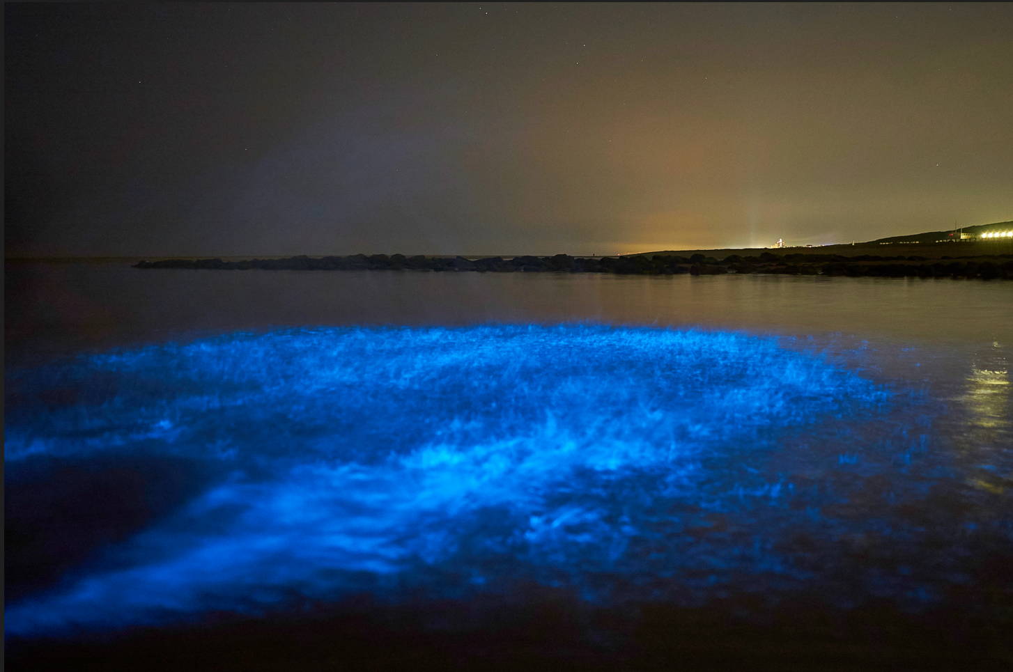 Bioluminescence when scuba diving in the Netherland 