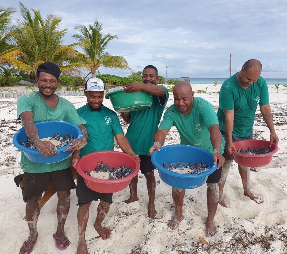 padi coral reef restoration PNG group with turtles