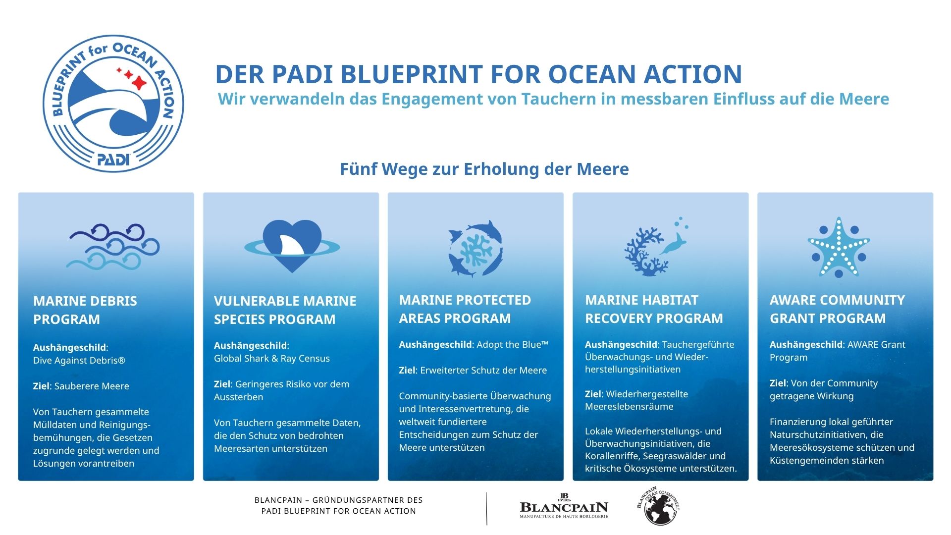 New PADI Blueprint for Ocean Action graphic with five pathways to ocean recovery - DE