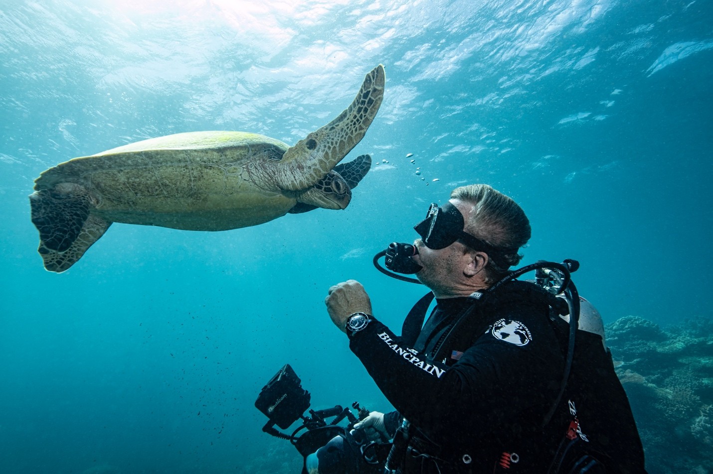 Duiker met schildpad in een Blancpain wetsuit voor Blueprint for the ocean
