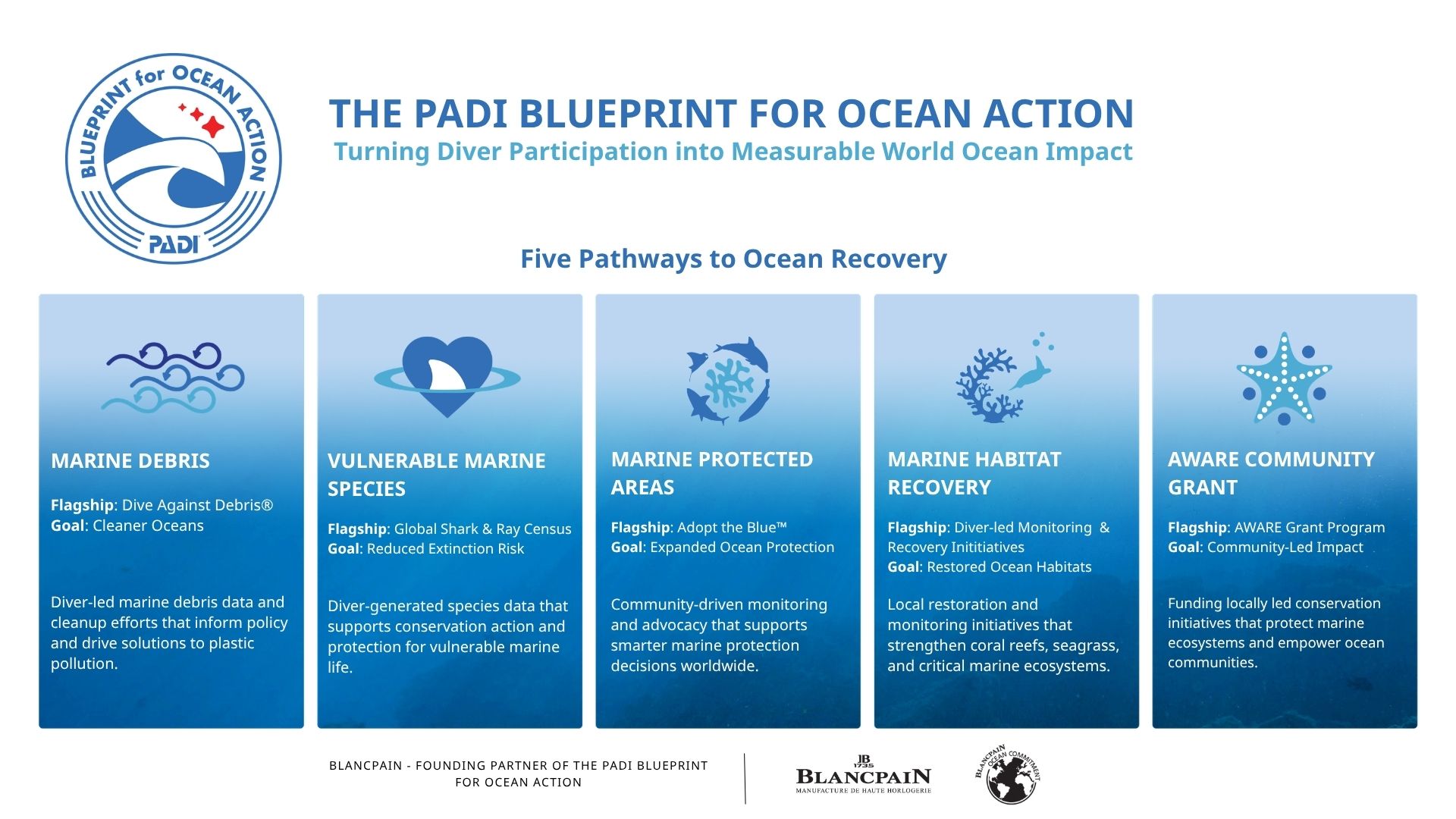 New PADI Blueprint for Ocean Action graphic with five pathways to ocean recovery - EN