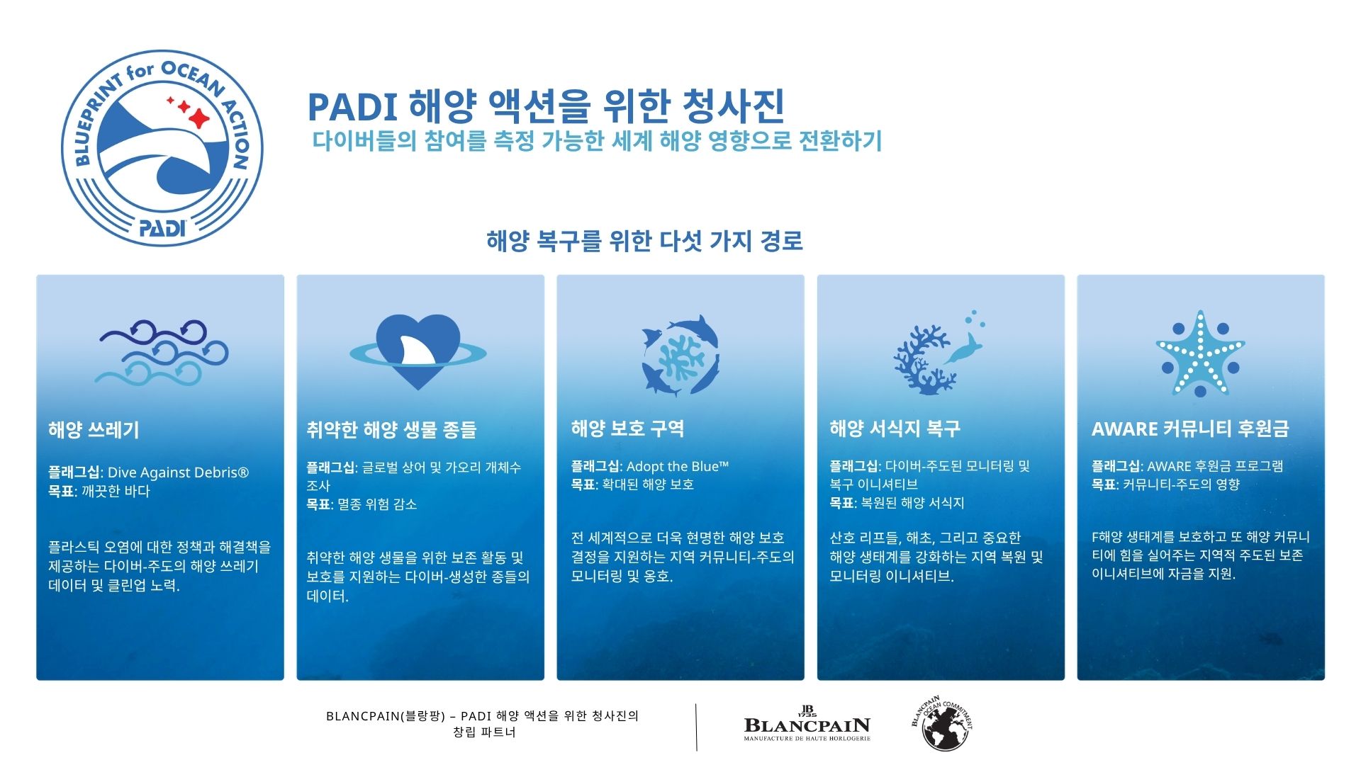 New PADI Blueprint for Ocean Action graphic with five pathways to ocean recovery - KO