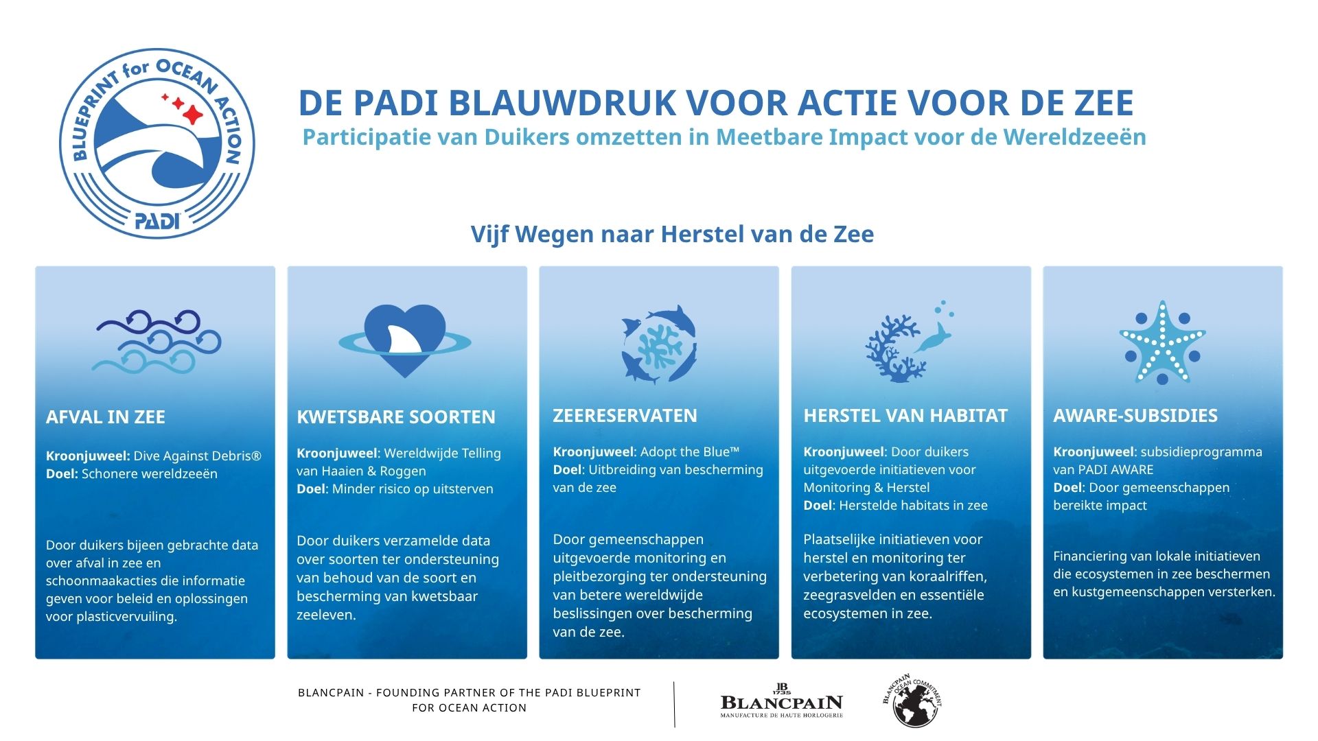 New PADI Blueprint for Ocean Action graphic with five pathways to ocean recovery - NL