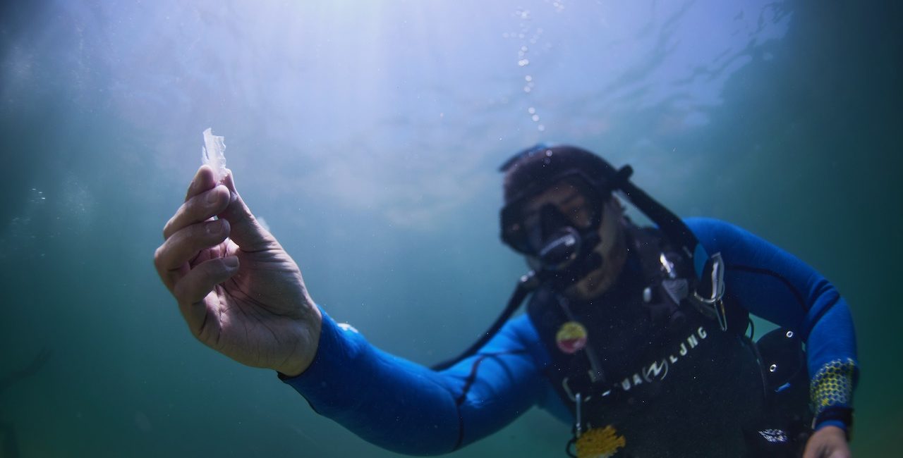 How PADI Is Making the Dive Industry More Sustainable