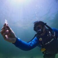 A male scuba diver collects plastic while scuba diving in Mexico