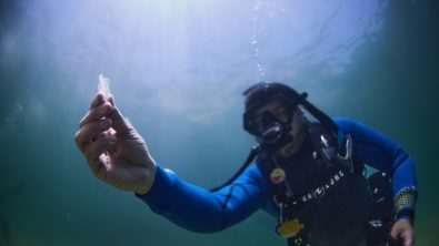 A male scuba diver collects plastic while scuba diving in Mexico