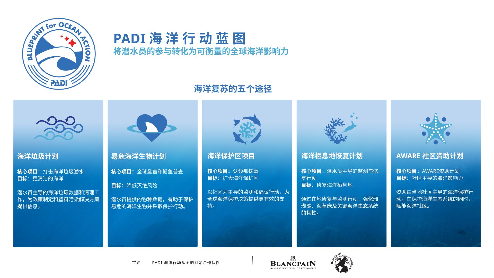 New PADI Blueprint for Ocean Action graphic with five pathways to ocean recovery - SC