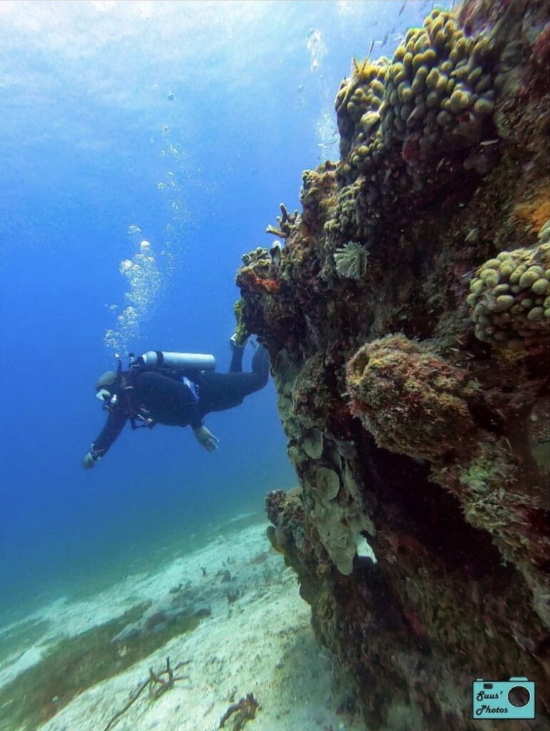 A diver looks at his outstretched arm as he rounds a coral mound.