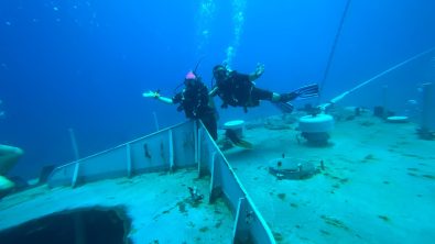 east timor new shipwreck two divers with the wreck