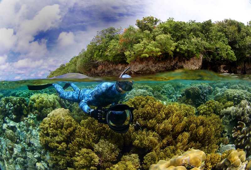 pristine seas partnership diver on reef